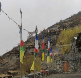 चुनावको बेला दलका उम्मेदवार पनि भोट माग्न जादैनन्