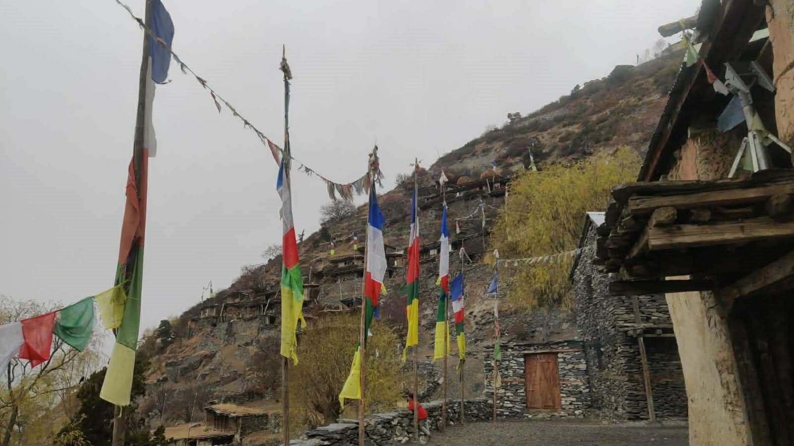 चुनावको बेला दलका उम्मेदवार पनि भोट माग्न जादैनन्