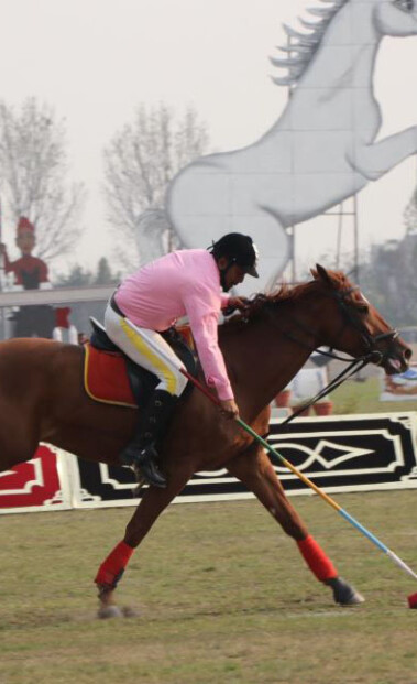 काठमाडौँ उपत्यकामा आज घोडेजात्रा पर्व मनाइदै