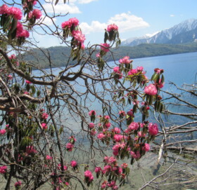 सुरु भयौ  मौसम, घुम्न जाऔं रारा