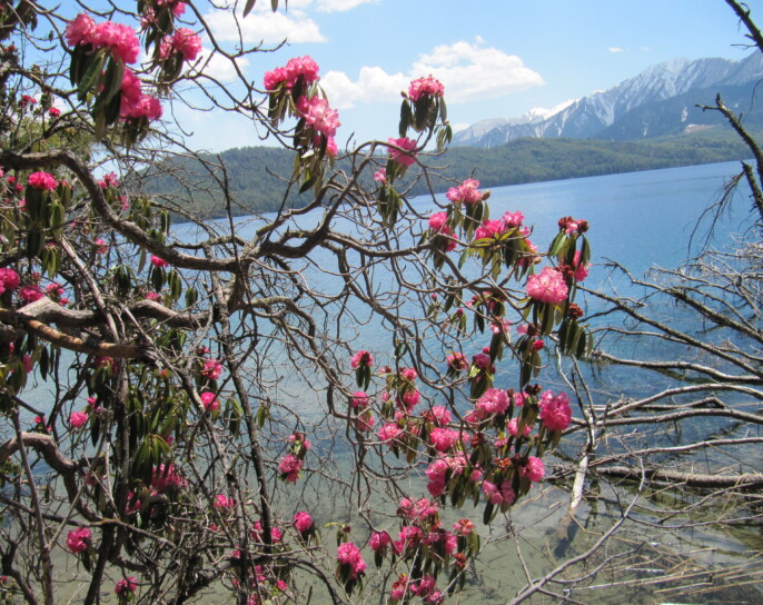 सुरु भयौ  मौसम, घुम्न जाऔं रारा