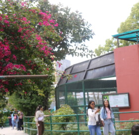 फुलहरुले सदर चिडियाखाना रंगीचंगी