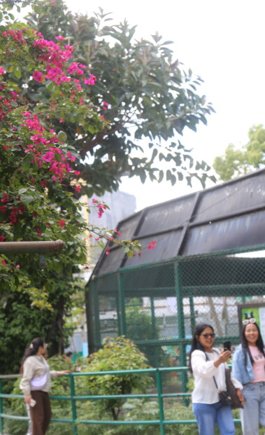 फुलहरुले सदर चिडियाखाना रंगीचंगी