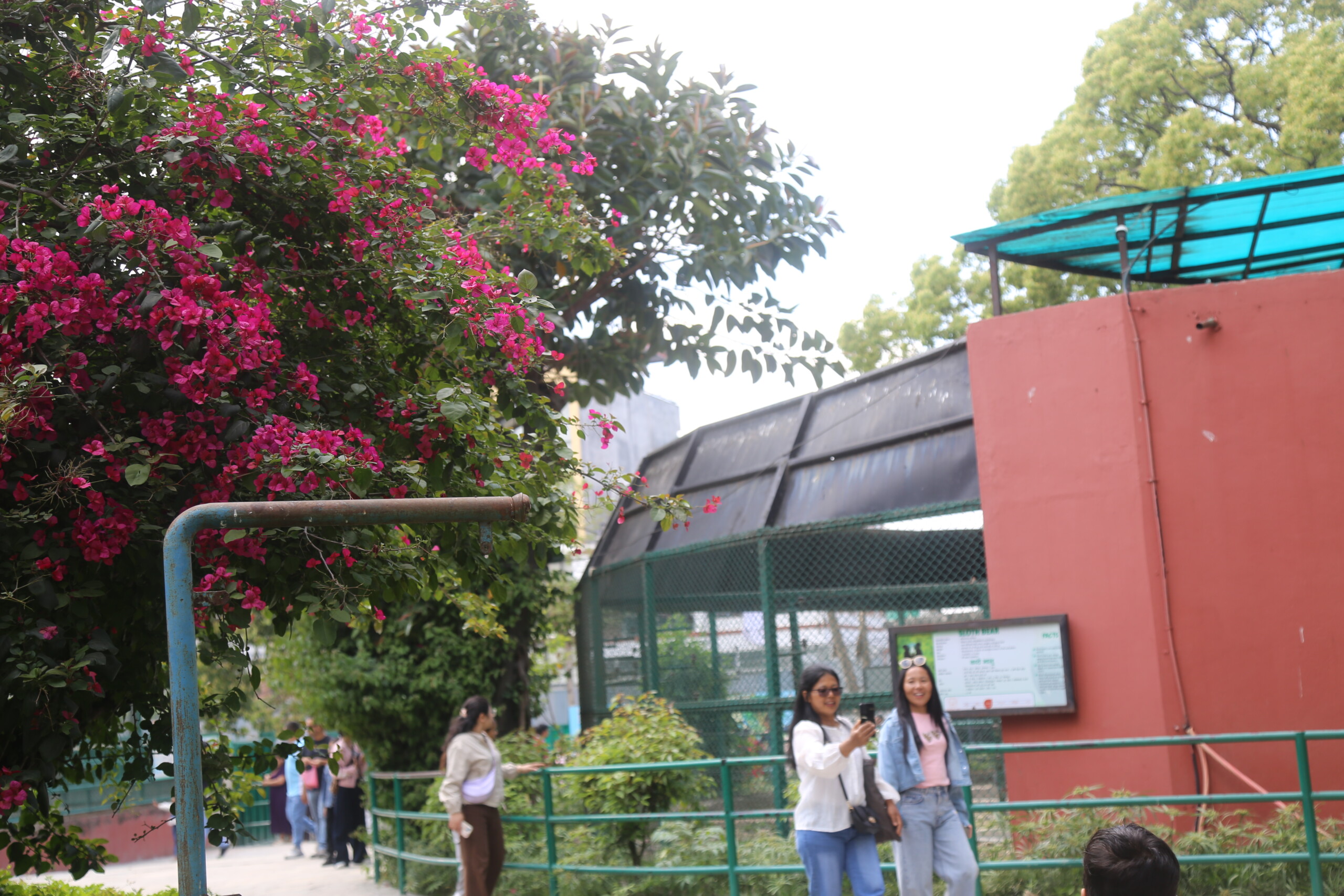 फुलहरुले सदर चिडियाखाना रंगीचंगी