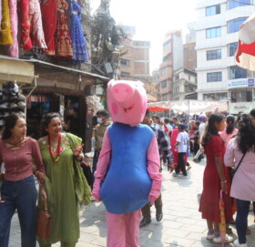 अब हरेक शनिवार सवारी साधन निषेध असन