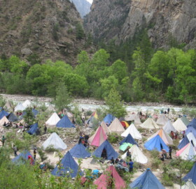 मुगुम कार्मारोङमा जेठ १३ देखि यार्सा संकलन खुला
