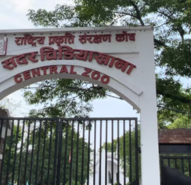 बर्डफ्लु देखिएपछि  सदर चिडियाखाना बन्द