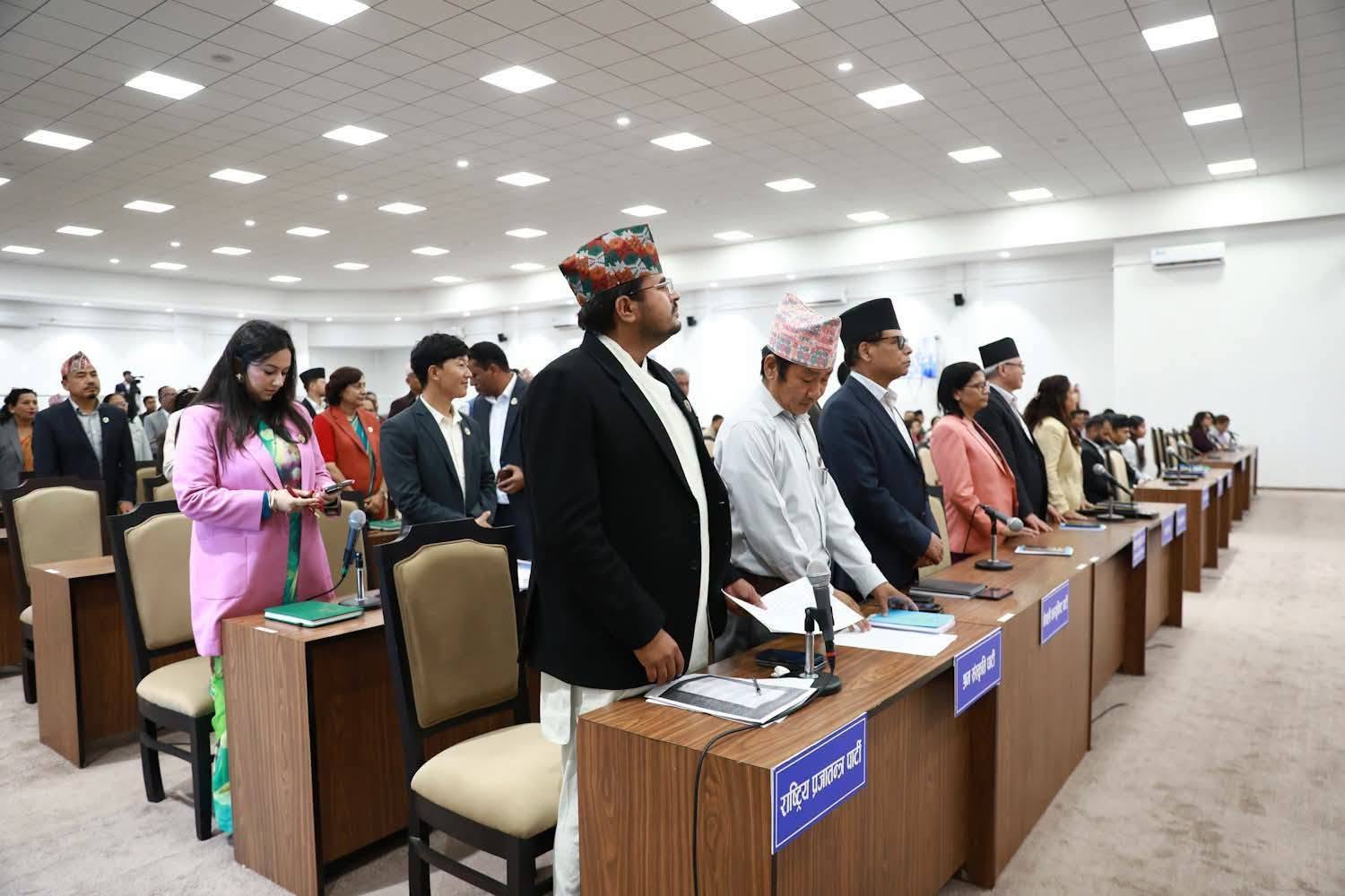 प्रतिनिधिसभा बैठक १५ मिनेटका लागि स्थगित