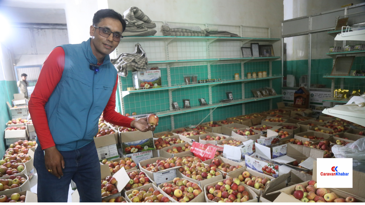 काठमाडौ आइपुग्यो जुम्लाको अर्गानिक स्याउ