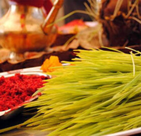 नेपालीहरूको महान पर्व बडा दशैँ  सुरु, घरघरमा विधिपूर्वक घटस्थापना गरिँदै