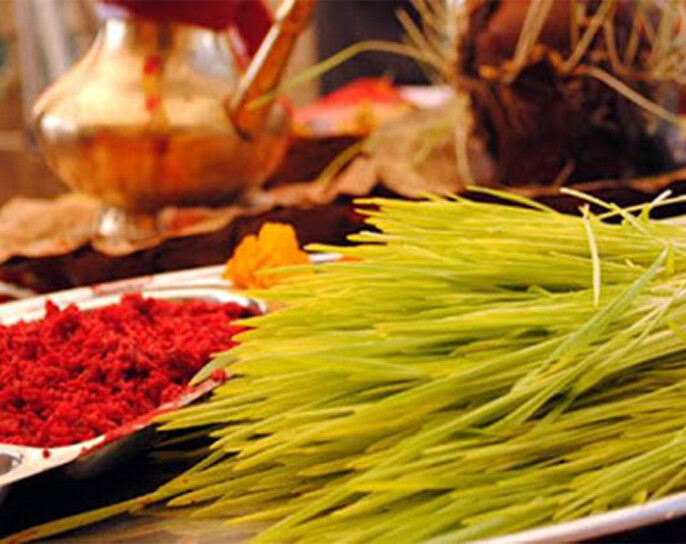 दसैं टिका जमरा कोजाग्रत पूर्णिमासम्म मान्यजनबाट आशीर्वाद लिन सकिने